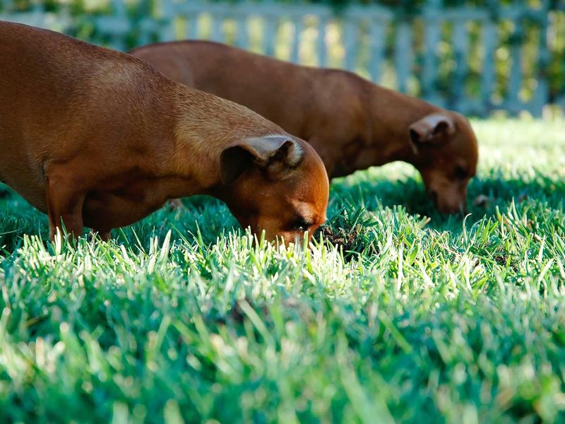 sudoku easy screenshot 1