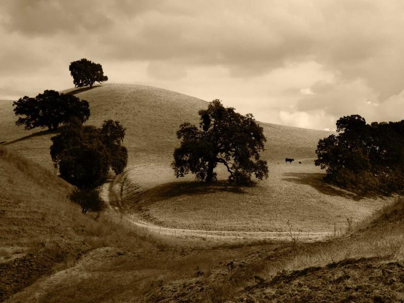 sudoku easy screenshot 6