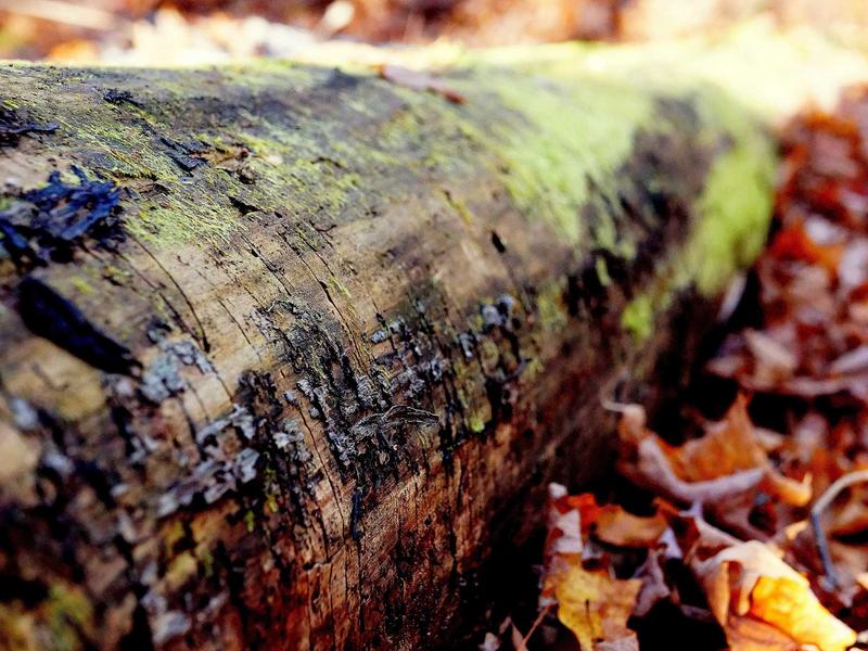 sudoku easy screenshot 4