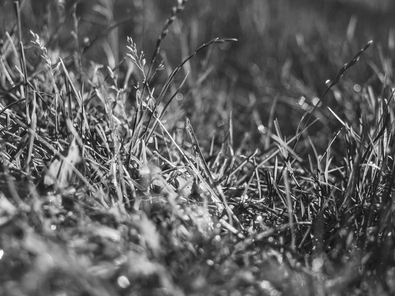 sudoku easy screenshot 2